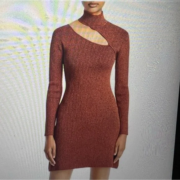 Cult Gaia cut out jet mini dress, beautiful brown color, XS - Picture 4 of 10